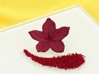 Food Colouring Powder Ruby 2g
