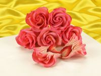 Erdbeer-Rosen Anleitung