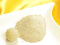 Fruchtpulver Limette 100g