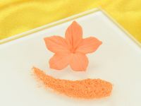 Food Colouring Powder Pumkin Pie Orange 5g