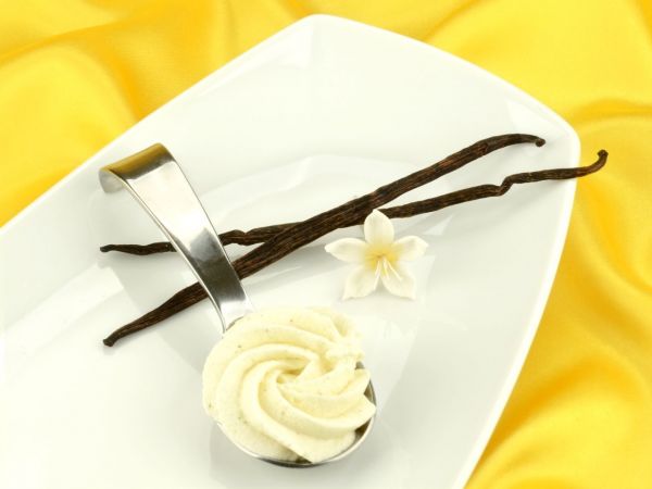 Cream stabilizer fond vanilla madagascar 100g