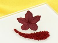 Sugarflair Blossom Tint Burgundy 7ml
