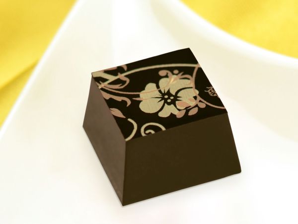 Magnetic mould square