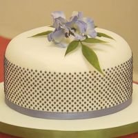 FMM Fondant Royal Icing Präger - Polka Dot 2