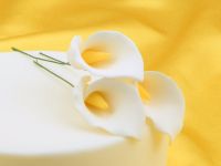 Fine sugar flower calla lily - 3 part
