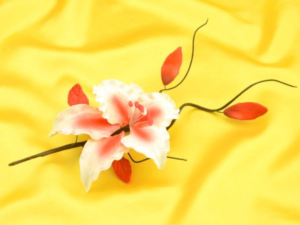 Fine sugar bouquet rubrum lily