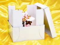 Einsatz zum Erhöhen von Tortenkartons 4 Stück