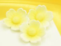 Flowers 40mm white-yellow sugar 6 pieces