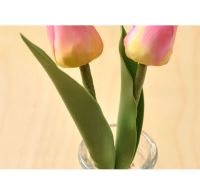 SK Veiner Tulpen-Blätter Präger Set 18 cm